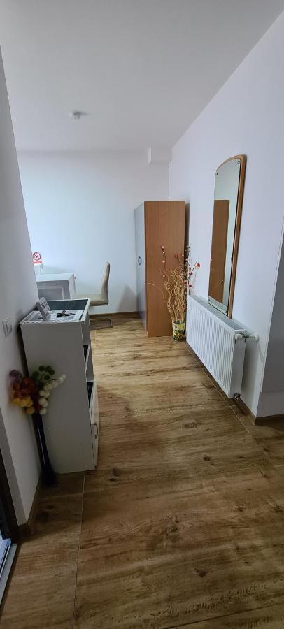 Elena Haus Aparthotel Cluj-Napoca Luaran gambar